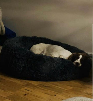 Customer review image